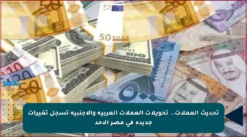 تحديث العملات.. تحويلات العملات العربية والأجنبية تسجل تغيرات جديدة في مصر الأحد